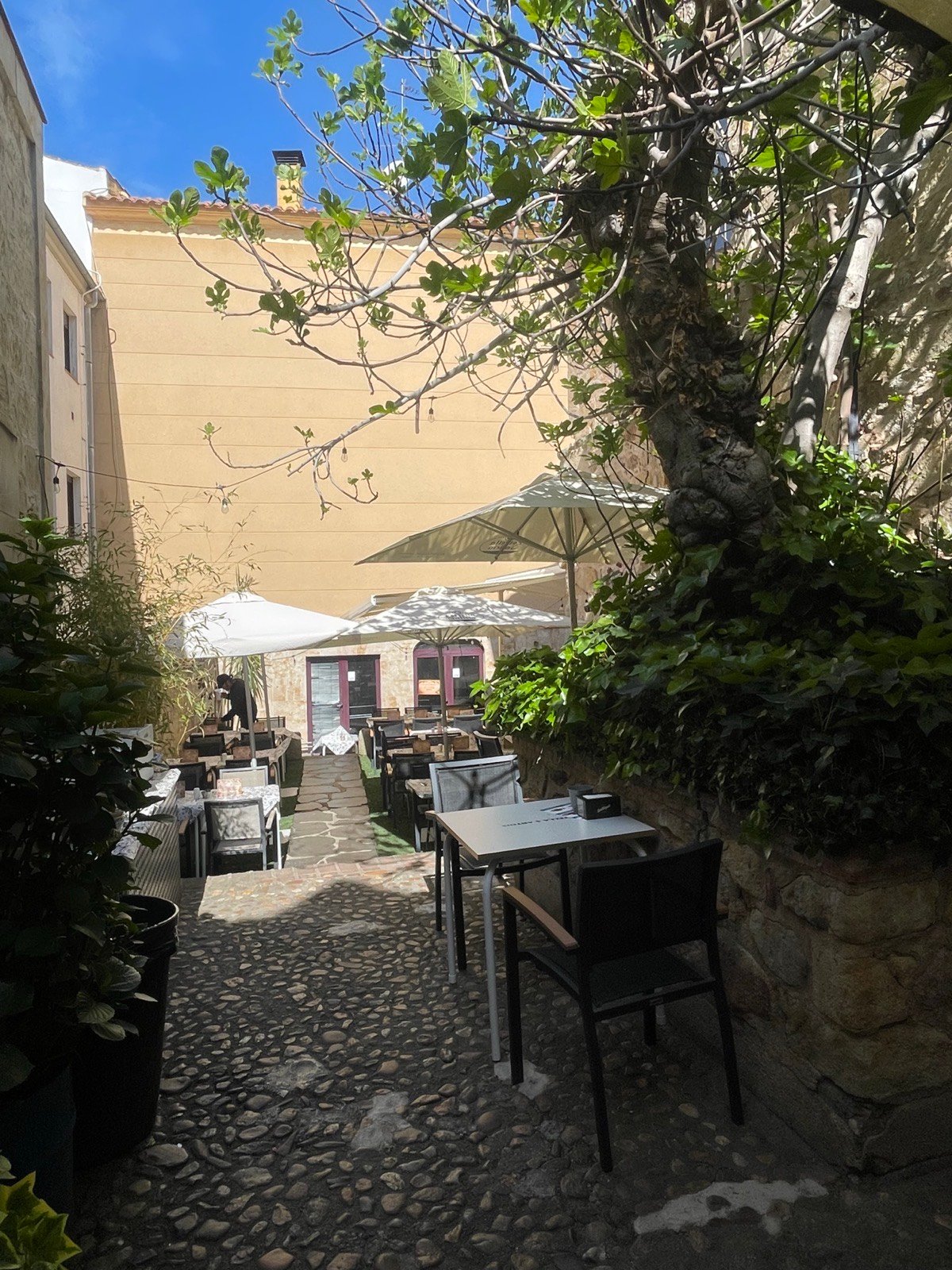 Terraza jardín